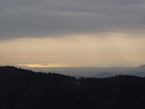 DSC01464