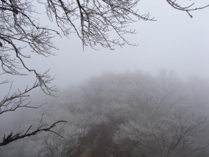 DSC01475