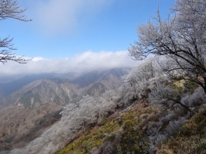 DSC01484