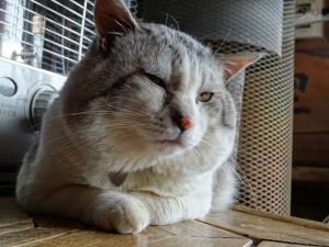 DSC01501
