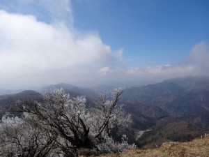 DSC01519