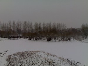 20070331090.jpg