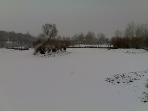 20070331091.jpg