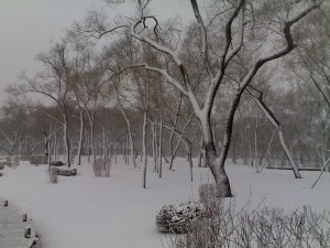 20070331092.jpg