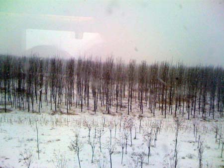 大雪