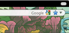 Firefox 3.6